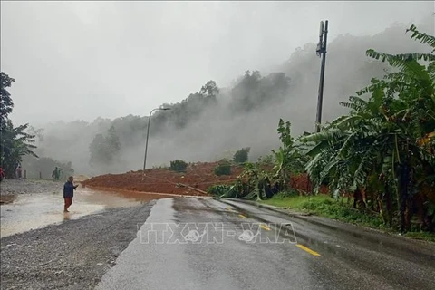 Four missing in Lam Dong landslide