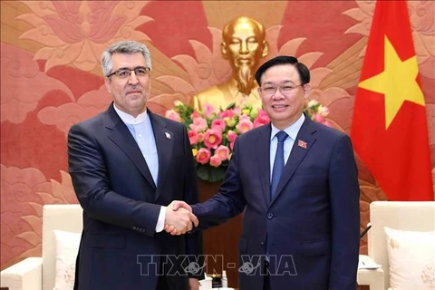 Top Vietnamese legislator’s visit to Iran to help expand bilateral ties: diplomat