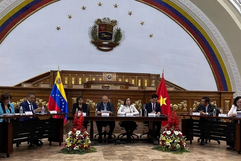 Vietnam, Venezuela enhance cooperation in ethnic affairs