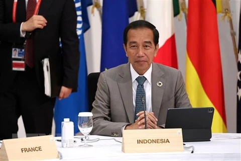Indonesian President: ASEAN should become anchor of world peace