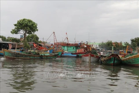 Tien Giang raises fishermen’s awareness about IUU fishing