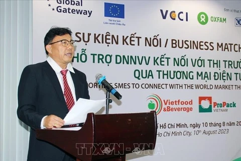 SMEs advised to harness cross-border e-commerce opportunities from FTAs