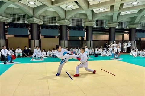 Karate tournament organised for overseas Vietnamese in Japan