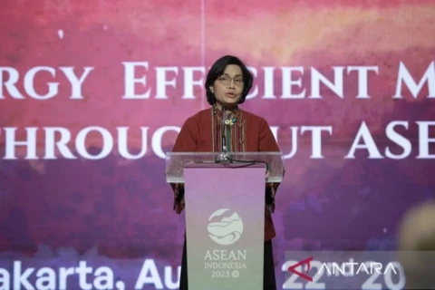 Indonesia needs 200 bln USD for sustainable development: Minister