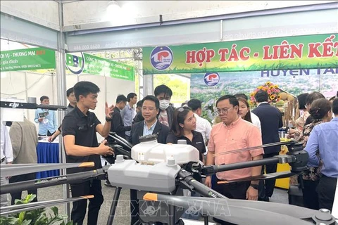 Vietnamese businesses look towards green future: seminar