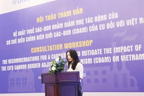 Workshop on carbon tax to mitigate CBAM for exported goods held