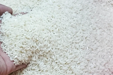 Thailand likely to export 8 million tonnes of rice this year