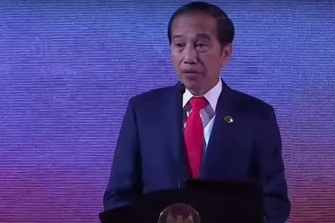 ASEAN economy expands beyond global growth: Indonesian President