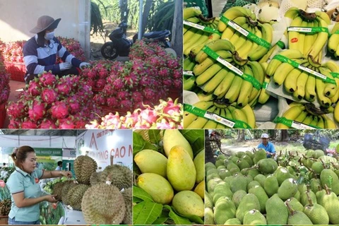 AgroViet 2023 to promote Vietnamese, foreign agricultural products 
