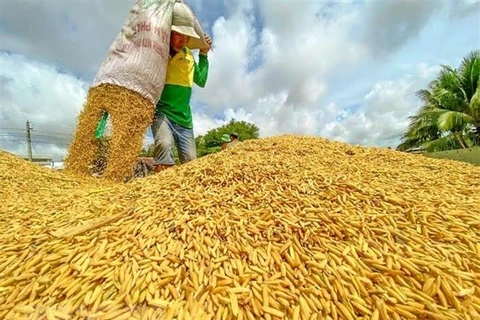 Vietnam exports record rice volume in 8 months