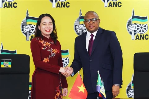 Vice State President active in South Africa