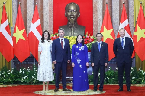 Vietnam-Denmark comprehensive partnership substantive, effective: diplomat