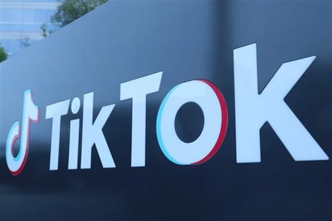 TikTok granted e-commerce business licence in Indonesia
