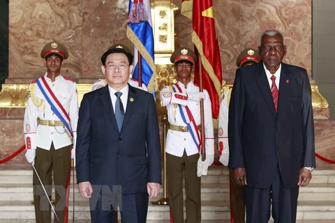 Vietnam - Cuba relations far beyond all diplomatic, political levels: official