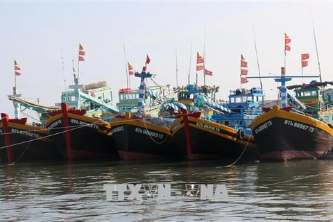 Binh Thuan closely monitors vessel fleet to fight IUU fishing