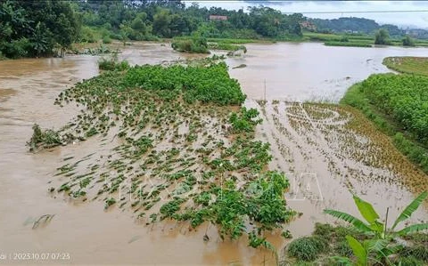 Four died, one missing due to heavy rain, floods in northern provinces