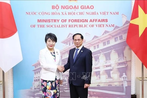 Vietnamese, Japanese foreign ministers hold talks