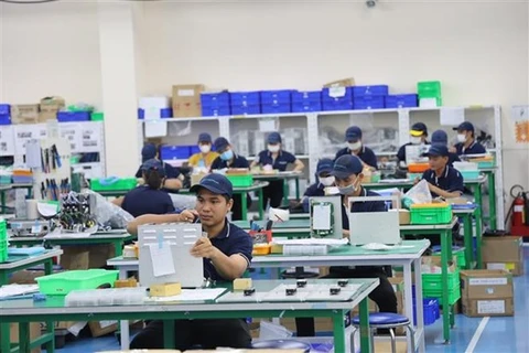 Japanese businesses seek investment opportunities in Mekong Delta