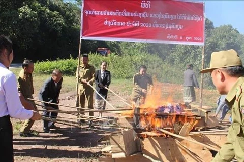 Laos destroys tens of tonnes of drugs