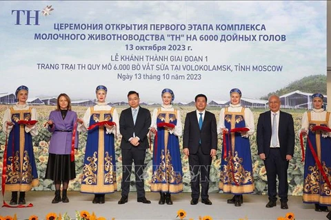 TH Group's milk cow farm project in Russia - a bright spot in bilateral cooperation