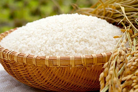 Price of Vietnam’s exported rice maintains uptrend
