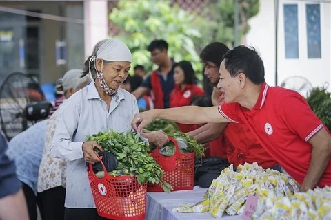 Int'l Red Cross to hold 11th Asia-Pacific Regional Conference in Hanoi next month