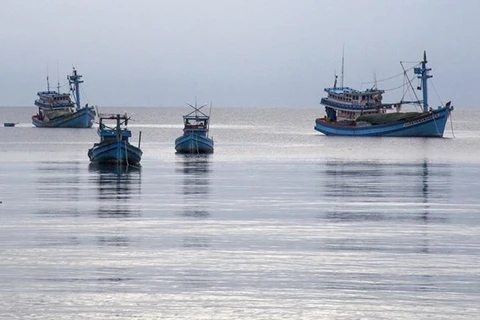 Ben Tre eyes to become Mekong Delta’s marine economy leader