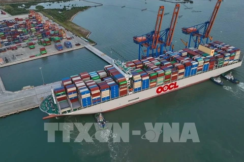 Vietnam’s seaport throughput rebounds in 10 months