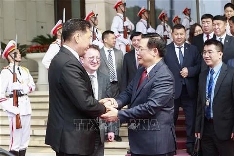 Vietnamese National Assembly treasures ties with Mongolia: Chairman