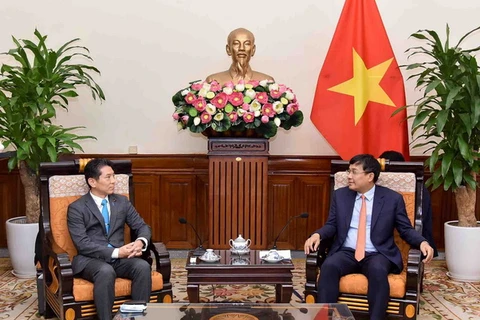Vietnam considers Japan long-term, important partner: official