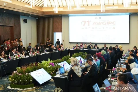 Meeting of ASEAN working group on IP held in Indonesia