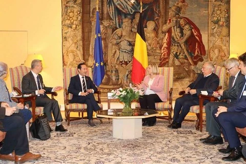 Vietnam, Belgium bolster collaboration to support AO victims 