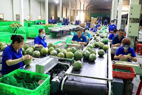 Vietnam’s vegetable export to surpass 1 bln USD by 2030
