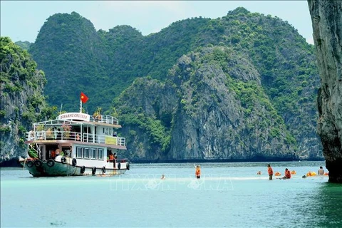 Environmental protection efforts augmented in Ha Long Bay