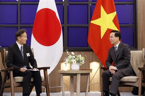 Friendship association contributes to Vietnam – Japan ties: State President