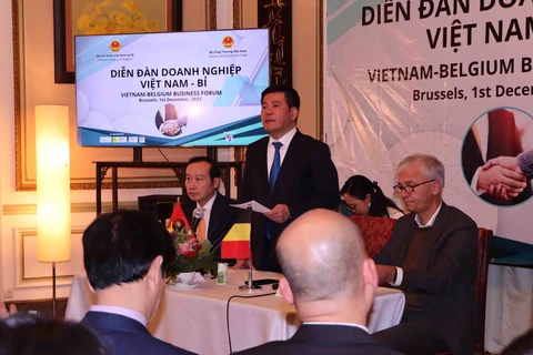 Ministry ready to support partnerships between Vietnamese, Belgian firms