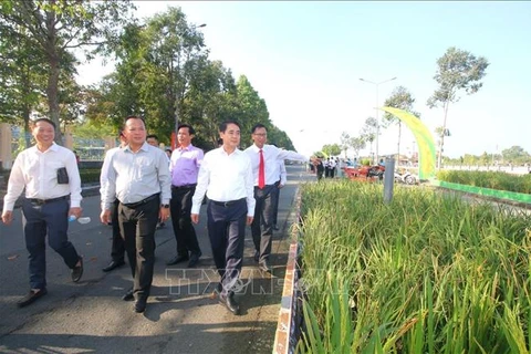1.3km-long rice-themed road set up at Hau Giang exhibition