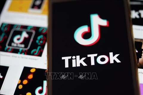 TikTok to invest 1.5 billion USD in Indonesia's GoTo group