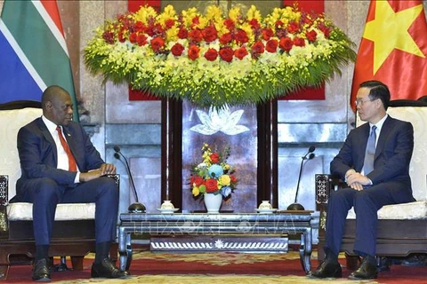Vietnam treasures partnership with South Africa: President