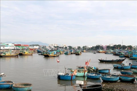 Binh Thuan intensifies measures against IUU fishing