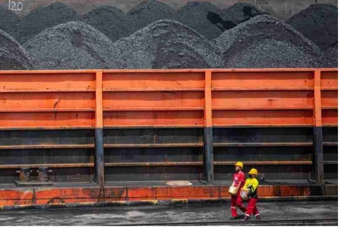 Indonesia looks into exploitation of rare earth elements from coal 