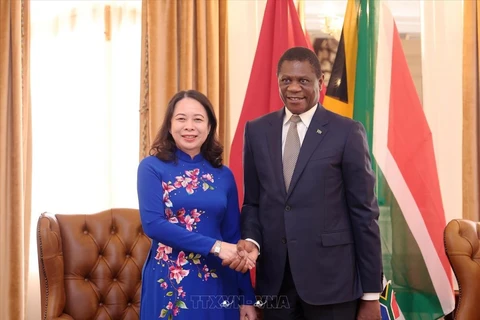 Vietnam, South Africa should further bolster economic ties: Diplomat
