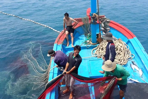 Deputy PM orders greater efforts in IUU fishing fight