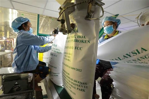 2023 export success boosts rice sector outlook
