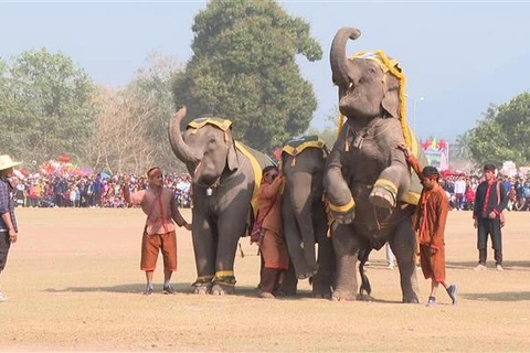 Lao Elephant Festival 2024 hoped to attract visitors to Xayaboury