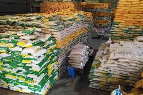 Rice export soars to record high in 2023