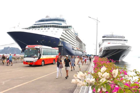Int’l cruise ships to bring 80,000 visitors to Quang Ninh