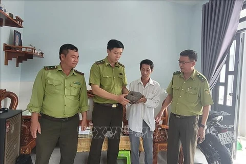 Wild pangolin handed over to forest rangers