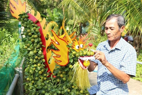 Dragon-shaped kumquat trees sought after