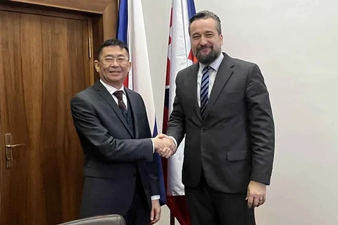 Vietnam, Slovakia see great potential to develop cooperation: Slovak legislator